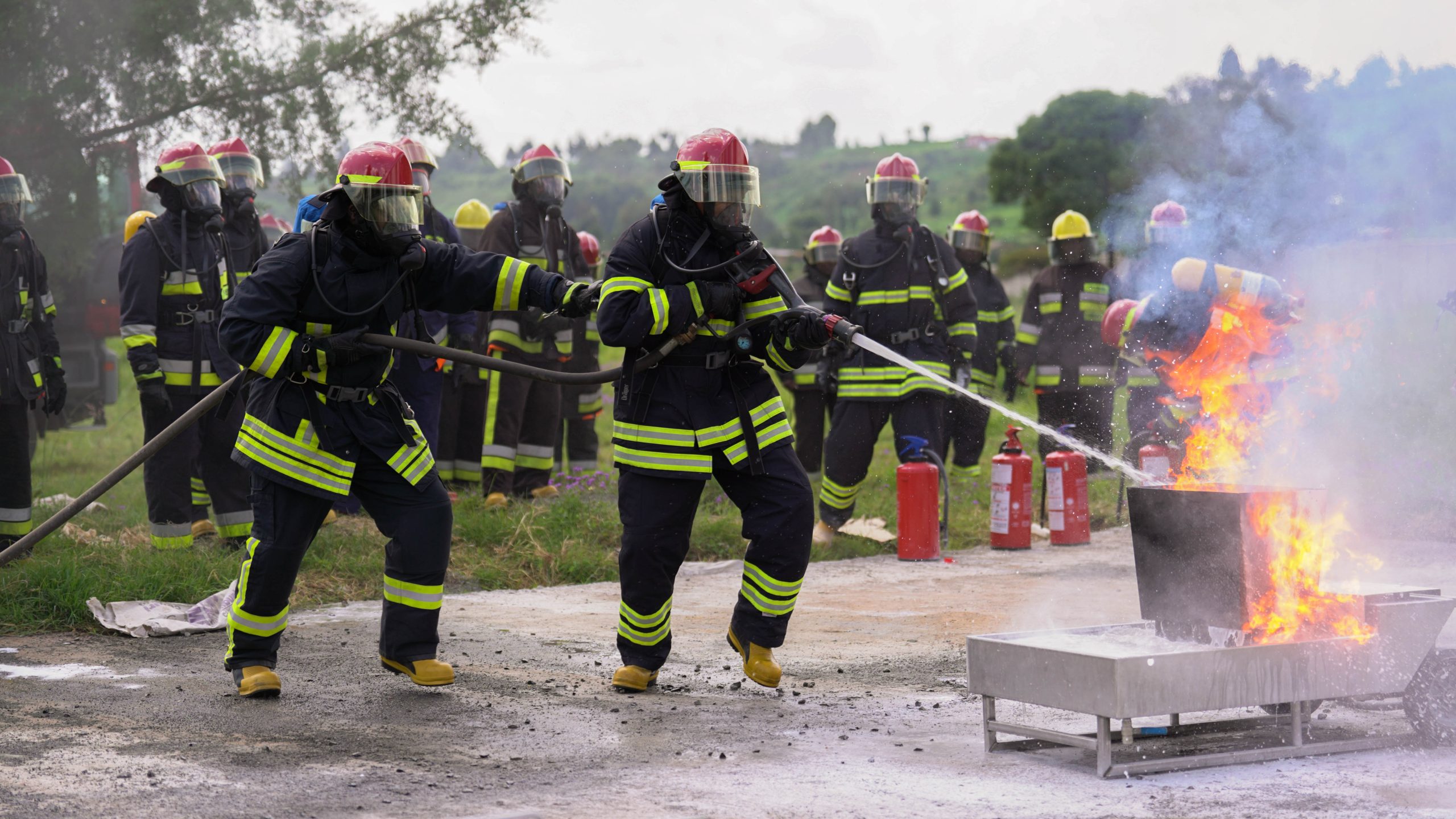 FIRE MARSHALS/WARDEN