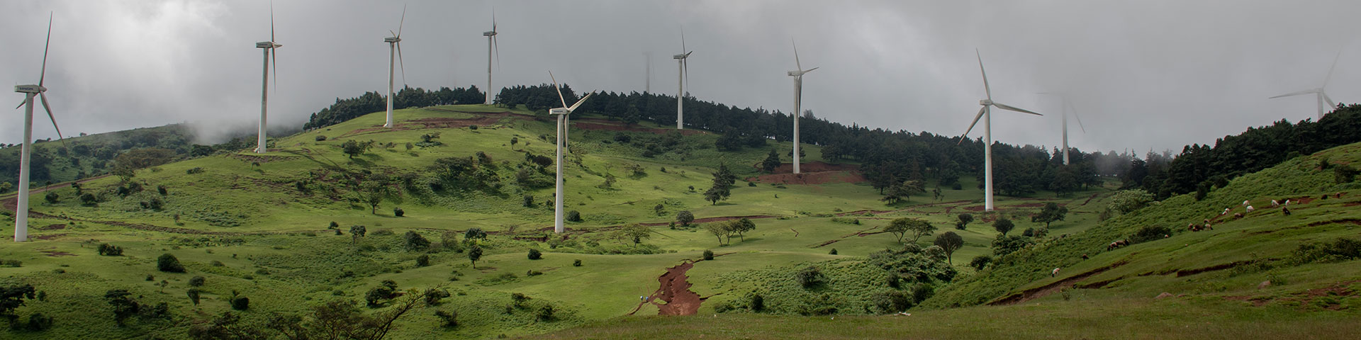 GREEN HYDROGEN